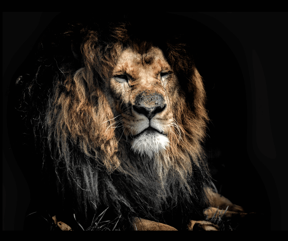 go2balance Bożena Oszycka Coaching